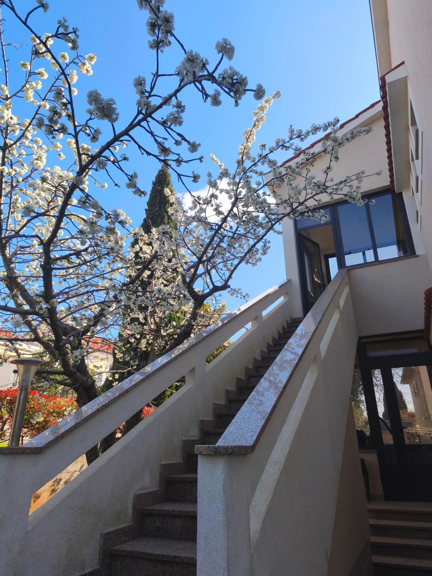 Apartmani Romana Punat Exterior photo